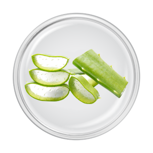 ingredient aloe vera bio