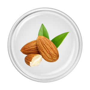 ingrédient amande douce