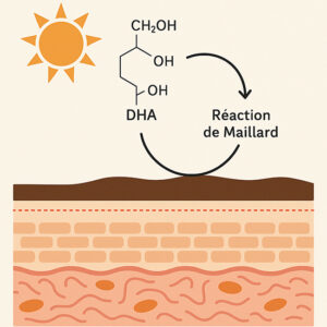 caramélisation de la peau réaction de maillard